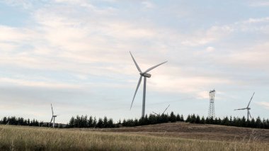 Tek bir modern rüzgar türbini, temiz enerjiyi temsil eden yumuşak ve bulutlu bir gökyüzünün altında, daima yeşil ağaçların olduğu bir alanda dimdik duruyor. Yüksek kalite fotoğraf