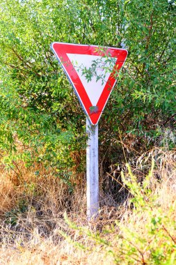 Klasik kırmızı kenarlı verim işareti, doğal ortamdaki yeşil yapraklar ve kuru otlarla kısmen gizlenmiş metal bir direğin üzerinde duruyor. Yüksek kalite fotoğraf