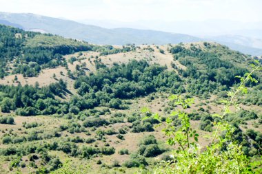 İtalya 'nın Abruzzo kentindeki Pescasseroli yakınlarında bulunan doğal güzelliğin tipik bir örneği olarak, berrak bir gökyüzü altında yuvarlanan yeşil tepelerin ve ormanların geniş panoramik manzarası. Yüksek kalite fotoğraf