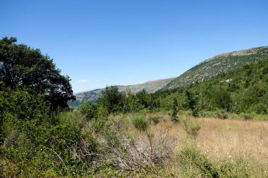 İtalya 'nın Abruzzo kentindeki Pescasseroli yakınlarında bulunan doğal güzelliğin tipik bir örneği olarak, berrak bir gökyüzü altında yuvarlanan yeşil tepelerin ve ormanların geniş panoramik manzarası. Yüksek kalite fotoğraf
