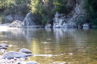 Berrak bir nehir sığ, kayalık bir yatağın üzerinden akar, yemyeşil ağaçlar ve doğal güneş ışığı altında kıyıları kaplayan büyük kayalar. Yüksek kalite fotoğraf