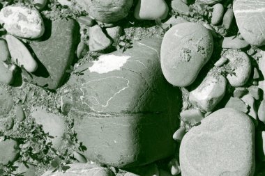 Pürüzsüz, gri nehir çakıl taşları ve yerde küçük yeşil lahanalı kayalar, doğal güneş ışığıyla yıkanmış bir makro manzara. Yüksek kalite fotoğraf