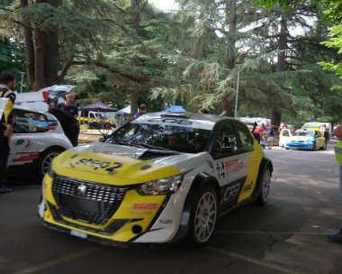 Salsomaggiore Terma Parma, Italy : 2025 08 03 A Peugeot 208 rally car in a service park, . High quality photo