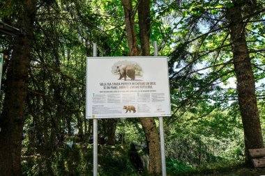 A roadside sign in a forest in Italy, with instructions in Italian and English on how to safely encounter a bear. A concept for wildlife conservation and safety. High quality photo