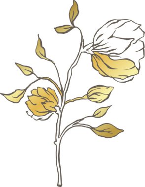 Magnolia altın çiçek hattı logosu zarif düğün narin kır çiçeği doğası 