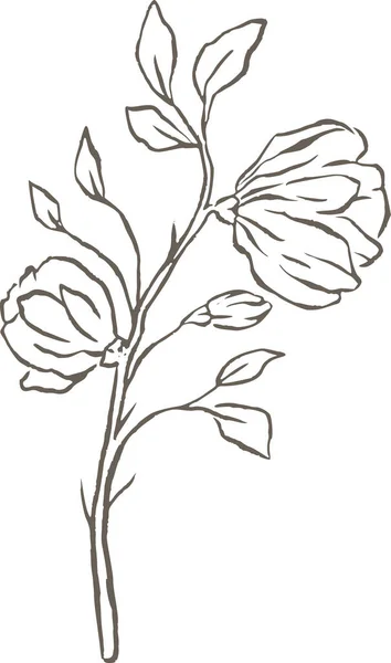 Magnolia Çiçek Hattı Logosu Zarif Düğün Narin Kır Çiçeği Doğası — Stok Vektör