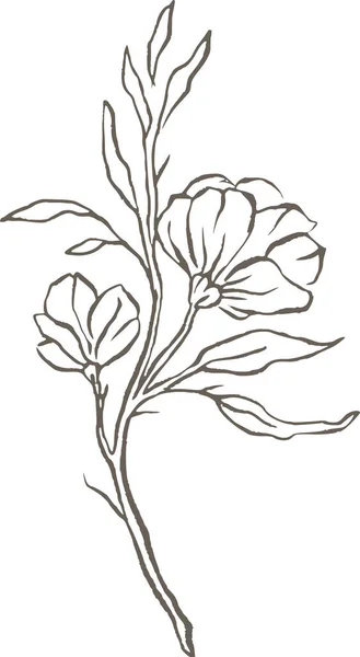 Magnolia Çiçek Hattı Logosu Zarif Düğün Narin Kır Çiçeği Doğası — Stok Vektör
