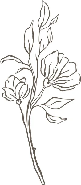 Magnolia Línea Flores Vector Logo Elegante Boda Delicada Naturaleza Floral — Vector de stock