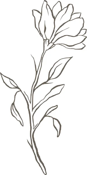 Magnolia Virág Vonal Vektor Logó Elegáns Esküvő Finom Virágos Természet — Stock Vector