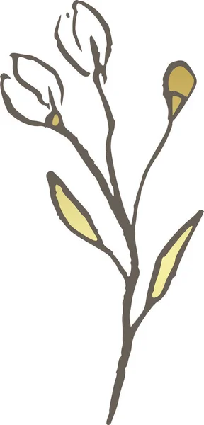 Magnolia Altın Çiçek Hattı Logosu Zarif Düğün Narin Kır Çiçeği — Stok Vektör