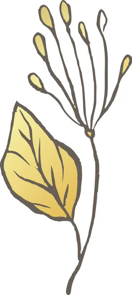 Magnolia Arany Virág Vonal Vektor Logó Elegáns Esküvő Finom Vadvirág — Stock Vector