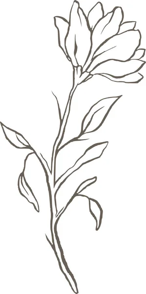 Magnolia Flower Line Vector Logo Elegant Wedding Delicate Floral Nature — Stock Vector