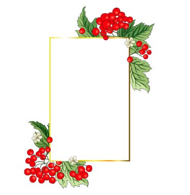Viburnum rowan dikdörtgen kırmızı çilek vektör çerçeveli rustik çiçek buketi çizimi. Düğün tebrikleri tasarımı, taze orman ve bahçe hasadı.
