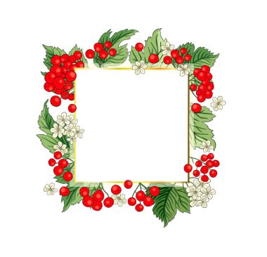 Viburnum rowan kırmızı çilek vektör çerçevesi rustik çiçek buketi çizimi. Düğün tebrikleri tasarımı, taze orman ve bahçe hasadı.