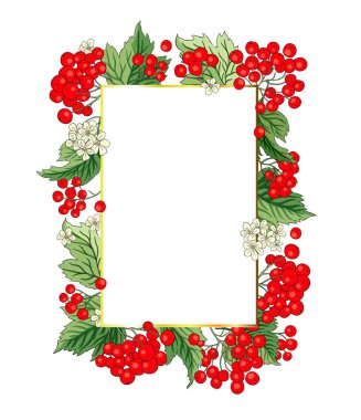 Viburnum rowan dikdörtgen kırmızı çilek vektör çerçeveli rustik çiçek buketi çizimi. Düğün tebrikleri tasarımı, taze orman ve bahçe hasadı.