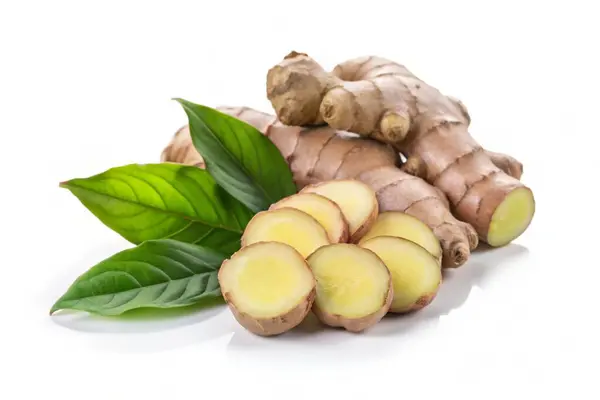 stock image fresh ginger root with leaf on white background