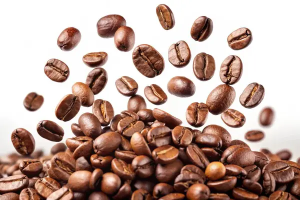 stock image coffee beans in the white background, close up