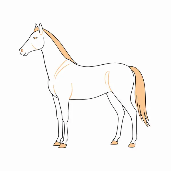 stock vector Horse illustration on white background