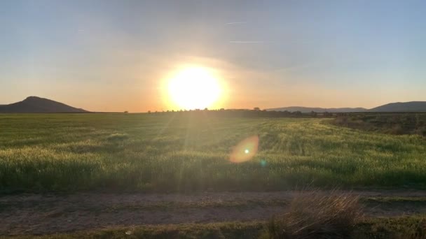 Sunset Dry Riberbed — Stock Video