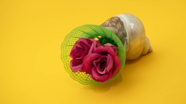 Kırmızı güller yeşil badminton topu ve deniz kabuğu sarı arka planda yaz yaratıcı kavramı 