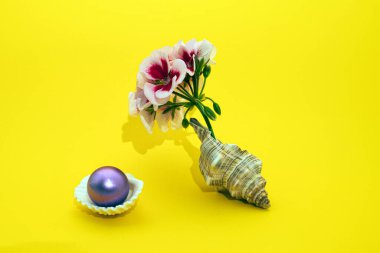 Deniz kabuğunda çiçek ve beyaz deniz kabuğunda noel balosuyla yapılan son moda yaz konsepti sarı arka planda minimum yaratıcı düzenleme 