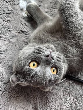 Güzel doğa ve eski kaleler  