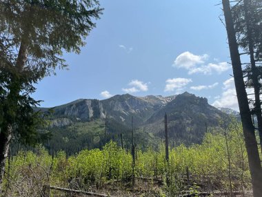 Güzel doğa ve eski kaleler  