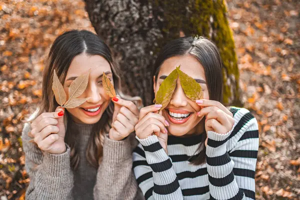 Two young women are standing side by side, each holding a large leaf in front of their eyes. They appear to be playfully peeking through the leaves, creating a whimsical and mysterious scene.