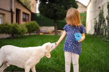 Genç bir kız yeşil arka bahçedeki bir köpekle kibarca etkileşime girer..