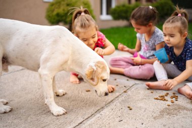 Üç kız dışarıda neşeli bir köpekle evcil hayvan yemeğini paylaşmaya can atıyor..