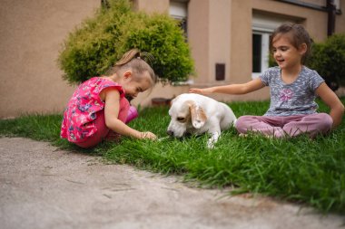 Güneşli bir bahçede bir köpeği okşayan iki genç kız aynı kahkahayı paylaşıyor..