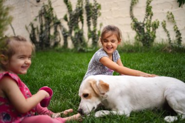 Mutluluk, çocukların evcil köpekleriyle oynaştığı anlarda yayılır..