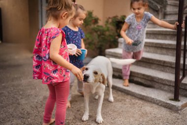Üç kız merdivenlerin yanında neşeli bir köpekle neşe içinde etkileşime geçiyor..