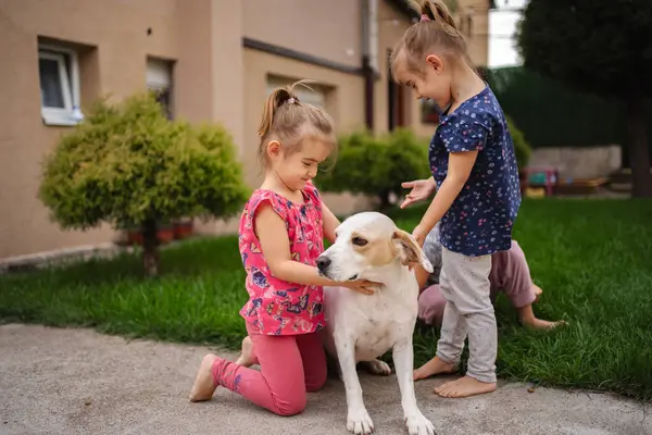 İki genç kız güneşli bir günün tadını çıkarırken neşeli bir köpeği okşuyor..