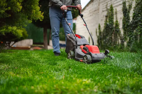 Bir kişi etkin bir şekilde yeşil bir çim biçiyor, etrafı düzenli bir bahçe, çalılar ve açık mavi gökyüzü ile çevrili. Öğleden sonra ışığı manzaranın taze renklerini güçlendirir..