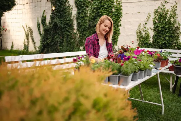 Kadın, dingin bir bahçede canlı çiçekler yetiştiriyor..