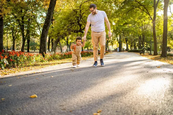Bir baba ve küçük çocuğu güz yaprakları ve canlı çiçeklerle dolu ağaçlarla kaplı bir patikada neşeyle gezinirler. Sıcak güneş ışığı dalların arasından süzülerek neşeli bir atmosfer yaratır..