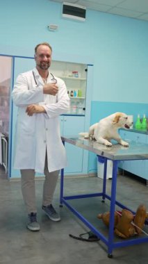 Bir veteriner renkli bir klinikte neşeli bir köpeği muayene masasında karşılar..