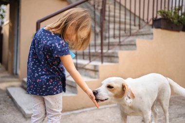 Genç bir çocuk dışarıda eğlenirken dost canlısı köpeğine uzanıyor..