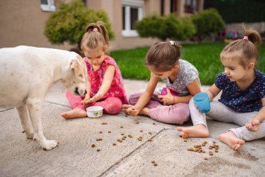 Üç kız, sıcak bir öğleden sonra neşeli bir köpeği beslemekten zevk alır..