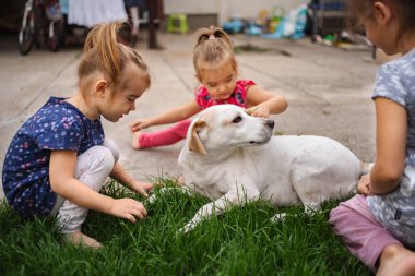 Üç çocuk çimenli bir bölgede beyaz bir köpekle neşeyle etkileşime girer..