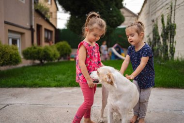 İki neşeli kız canlı bir bahçede neşeli bir köpekle etkileşime girer..