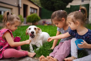 Üç gülümseyen kız canlı bir bahçede neşeli bir köpeği beslemekten zevk alır..