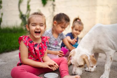Üç mutlu kız sıcak bir öğleden sonra neşeli bir köpekle etkileşime girer..
