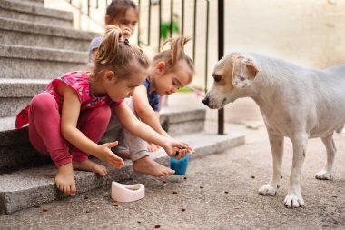 Üç kız merdivenlerde dost canlısı bir köpekle hoş bir şekilde iletişim kuruyor..