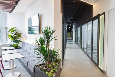 Rahat bir kanepe, şık bir masa, şık sandalyeler ve çeşitli yeşil bitkilerin bulunduğu modern ofis alanı. Oda iyi aydınlatılmış ve düzenli, rahatlatıcı ve sosyal toplantılar düzenliyor..
