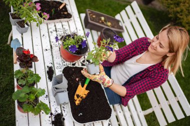 Renkli çiçeklerle dolu bir saksının keyfini çıkarıyorum..