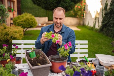 Erkekler güneşli bir bahçede canlı çiçeklerle beslenmekten hoşlanırlar..