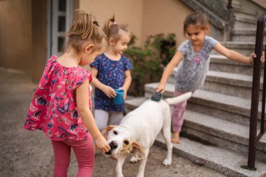 Üç genç kız, açık havada dost canlısı bir köpekle mutlu bir şekilde nişanlanıyor..