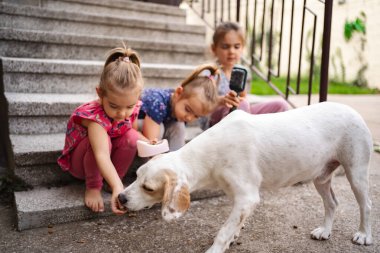 Üç çocuk keyifli bir öğleden sonrayı paylaşıyor. Dışarıda dost bir köpeği besliyor..